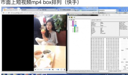 mp4格式短视频,浓缩时光的艺术精华