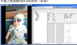 mp4格式短视频,浓缩时光的艺术精华